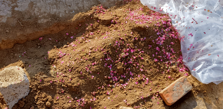 سات سالہ بچی کی لاش قبر سے غائب ، اصل حقیقت سامنے آگئی