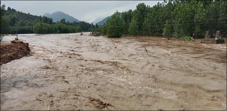 دریائے ستلج میں اونچے درجے کا سیلاب، ضلع بہاولنگر میں صورت حال سنگین ہو گئی