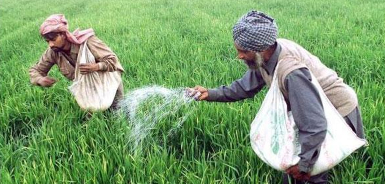 مہنگی کھاد اور کسانوں پر 7 ارب اضافی بوجھ کا ذمہ دار کون؟ راز افشا ہو گیا