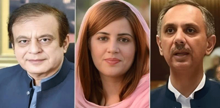 راناثنااللہ کے گھر پر حملے کا کیس: عمر ایوب، شبلی فراز اور زرتاج گل سمیت دیگر  کو 10 سال قید کی سزا