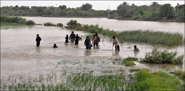 ’’بھارت نے وفاقی حکومت کو ایک نئے سیلابی ریلے سے آگاہ کر دیا‘‘