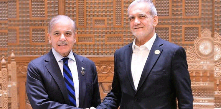 وزیراعظم  کی  ایرانی  صدر سے تیانجن میں ملاقات ، سیلاب  سے قیمتی جانی ومالی نقصانات پر اظہار افسوس